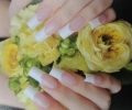 manicures-3 manicures-3